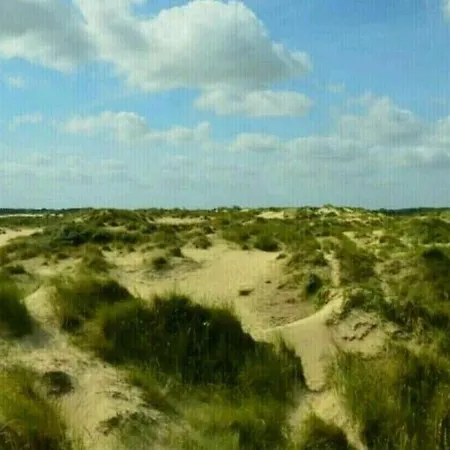 Am Meer, Nahe Plopsaland